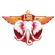 LSG